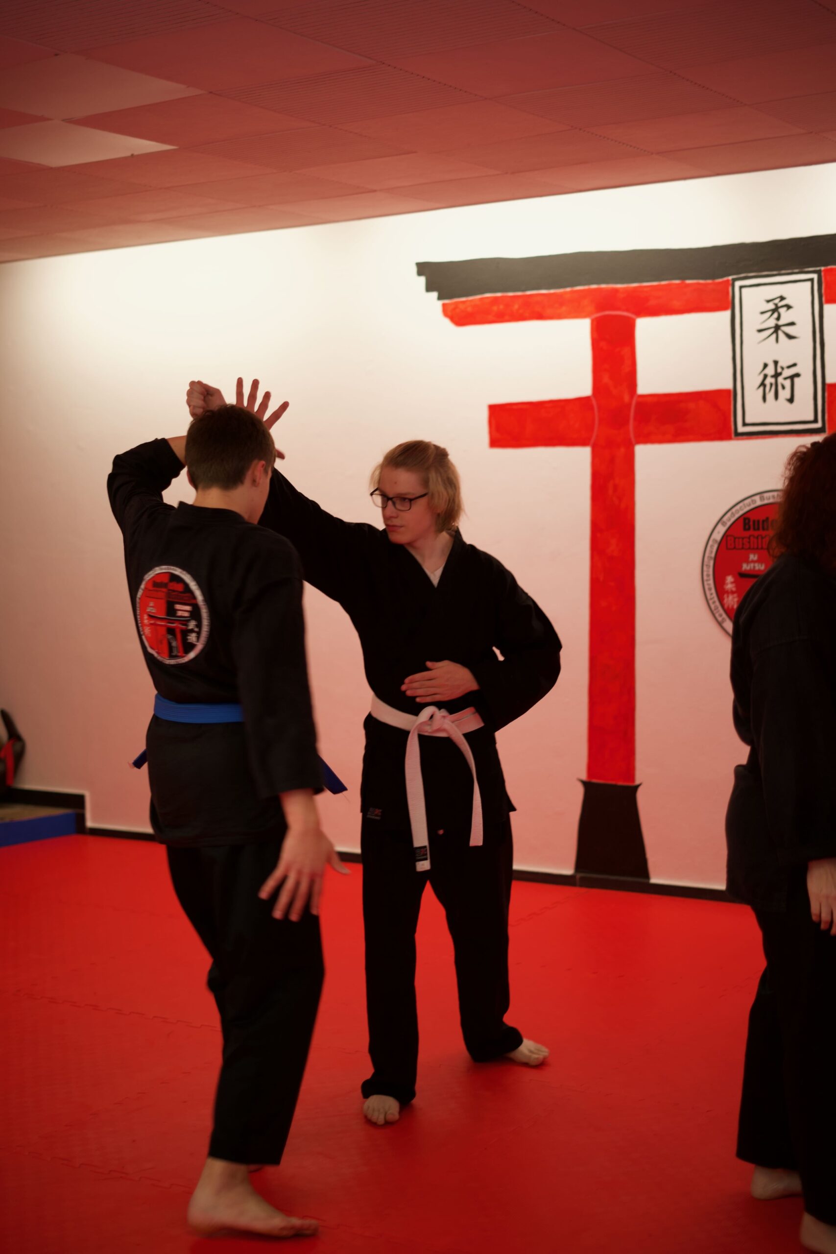 Ju-Jutsu im Budoclub